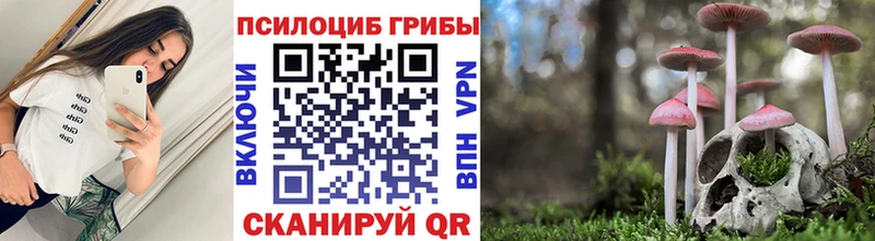 Псилоцибиновые грибы MAGIC MUSHROOMS  KRAKEN зеркало  Воронеж 